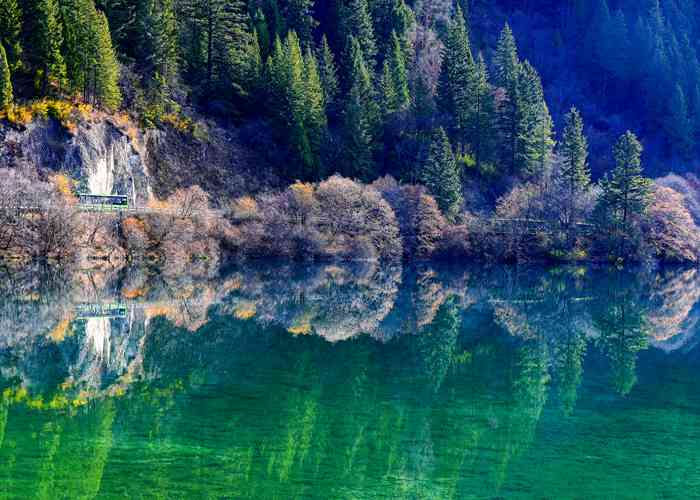 成都景区直通车电话全攻略！别光查，这些隐藏信息更关键-第2张图片-成都租车公司